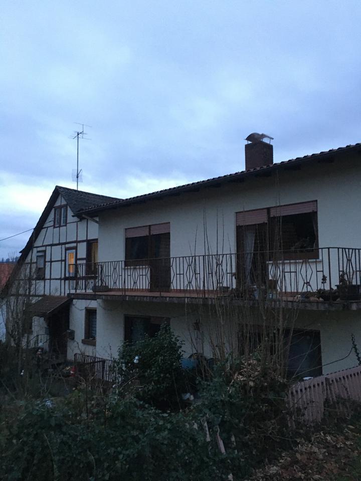 Thumbnail-Schöne 4 Zimmer Wohnung zu vermieten