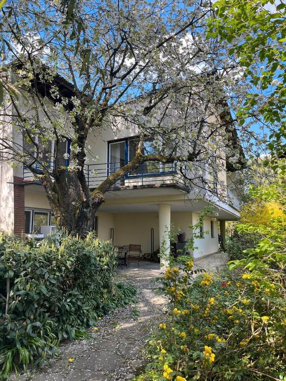 Thumbnail-Panoramablick über Ochsenfurt – Haus in ruhiger Lage am Ortsrand