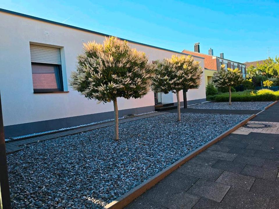 Thumbnail-Moderner kernsanierter Bungalow 141m² |Vollkeller |Provisionsfrei