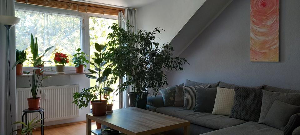Thumbnail-2,5 Raum Harpen, DG, großer Balkon, Bad: Wanne + Dusche + Fenster