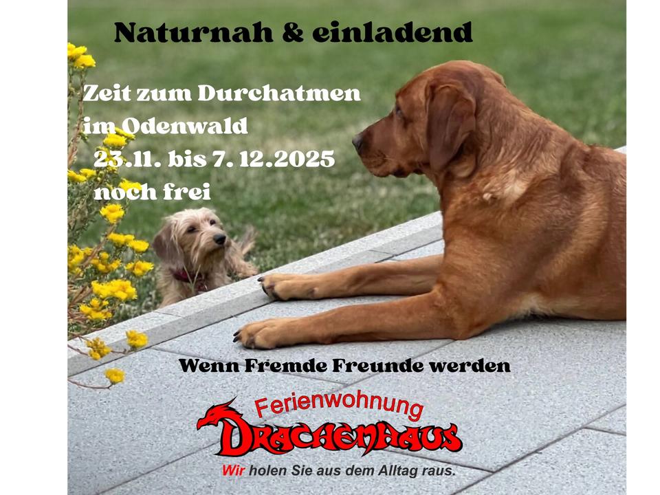 Thumbnail-Urlaub mit Hund. Ferienwohnung OdenwaldBergstraße