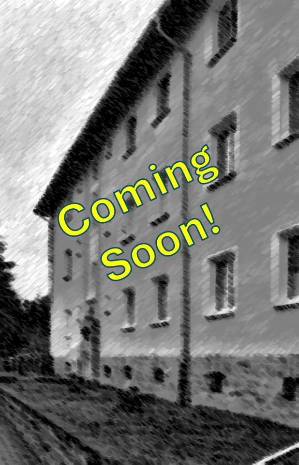 Thumbnail-Neu saniert! 2-Zi-Wohnung in der Schillerstraße