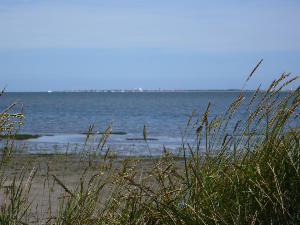 Thumbnail-Nordsee Esens Ferienwohnung Hund Aktion Ostf. 28.3.-2.4 u7.4-12.4