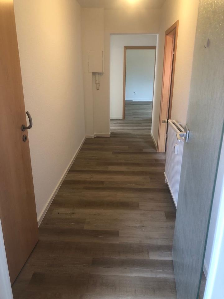 Thumbnail-Frisch renovierte helle Wohnung lichtdurchflutet ab sofort