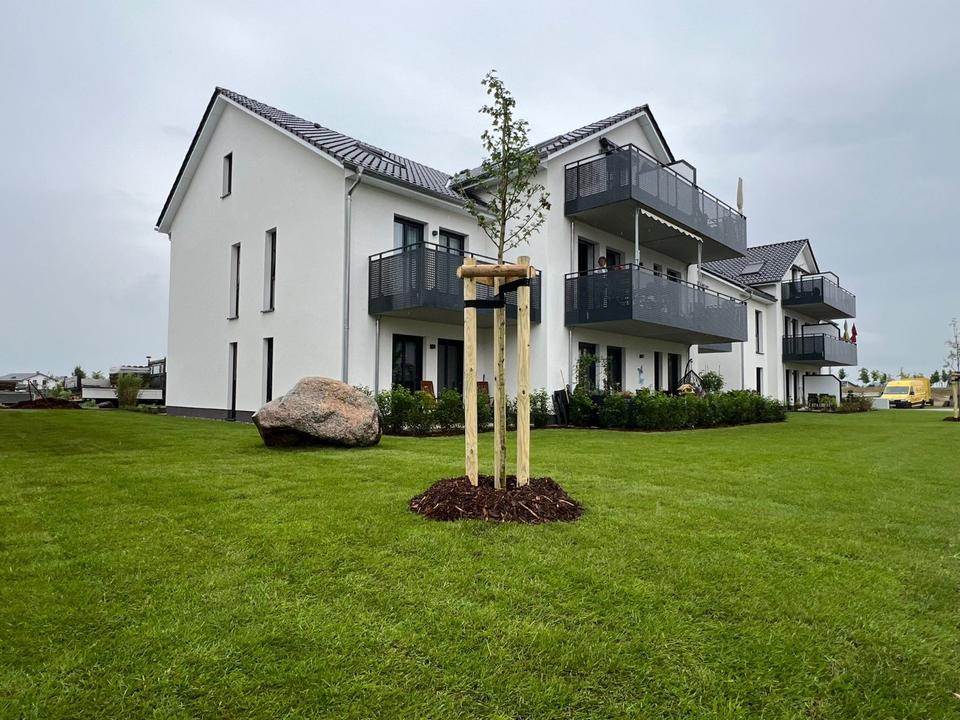 Thumbnail-2 Raum Neubauwohnung Waren