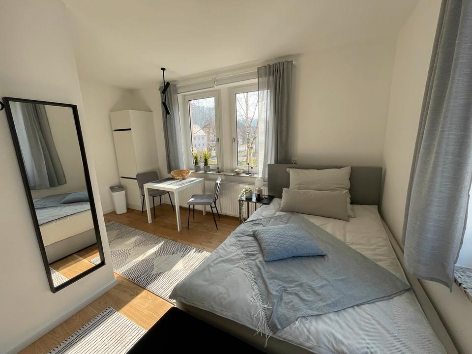 Thumbnail-1-Zimmer Studio-Apartment vollmöbliert nahe Boehringer