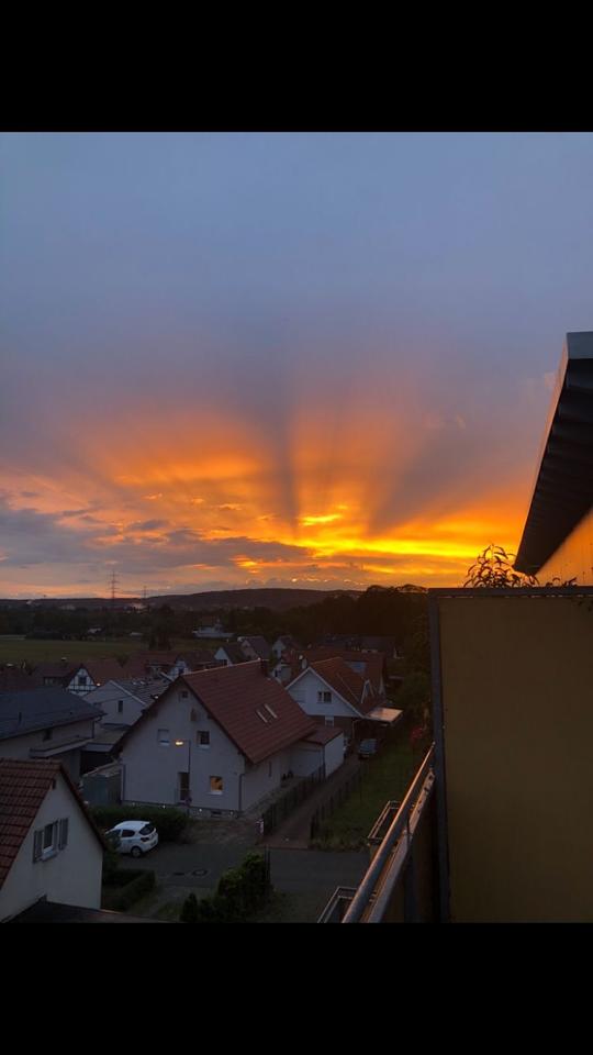 Thumbnail-Wohnung Frankfurt Zeilsheim zu vermieten Einzimmerwohnung Balkon