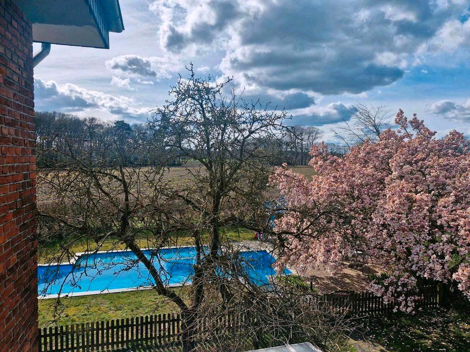 Thumbnail-Große Ferienwohnung in Schwege - Osnabrück Münster Sauna Pool