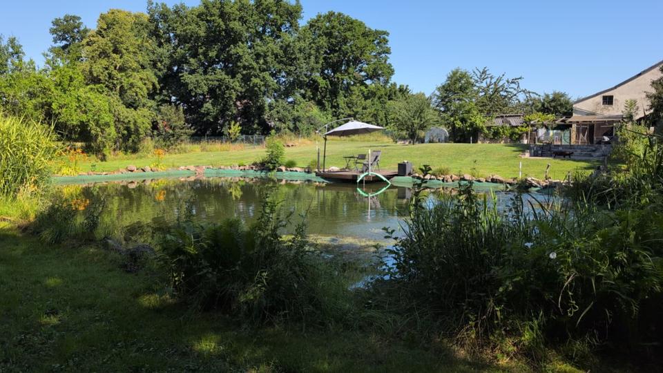 Thumbnail-Hofanwesen mit großen Schwimmteich und Scheune