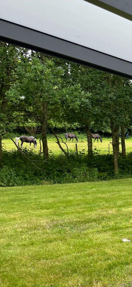 Thumbnail-Urlaub mit Hund an der Nordsee Ostfriesland
