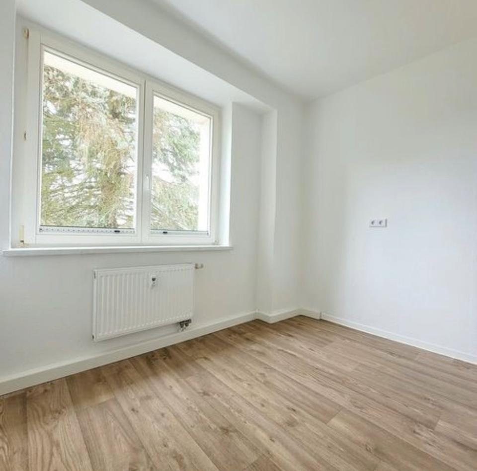 Thumbnail-Helle frisch sanierte Wohnung in Meißen