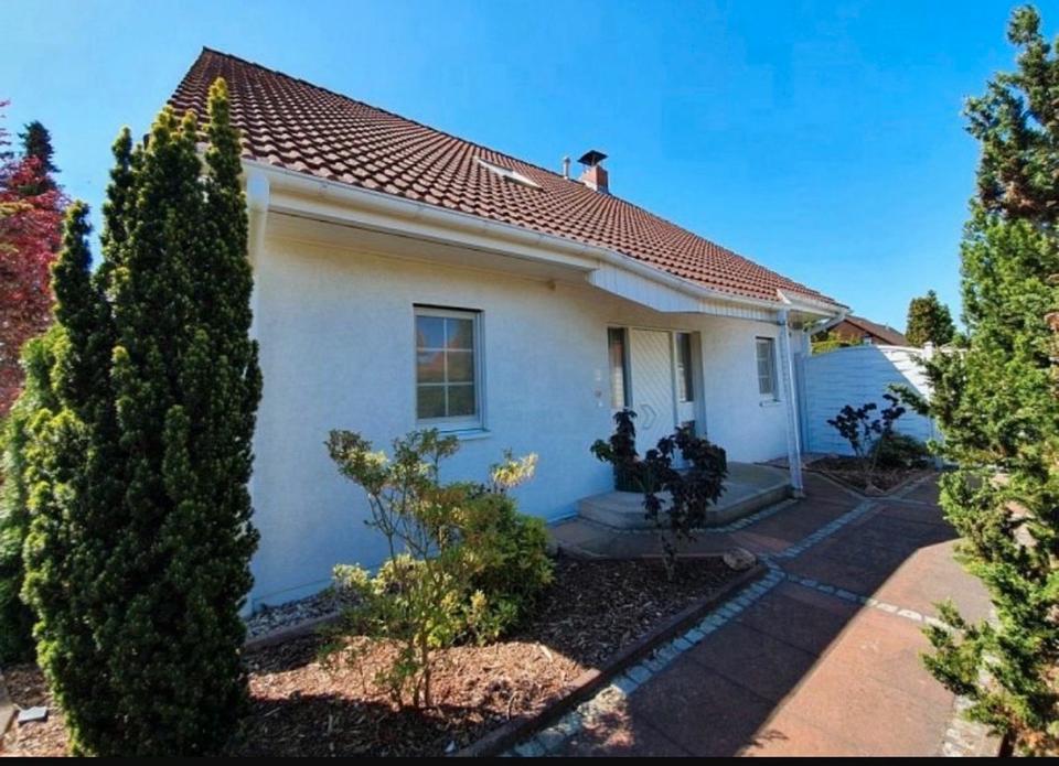 Thumbnail-Einfamilienhaus in Bärenklau