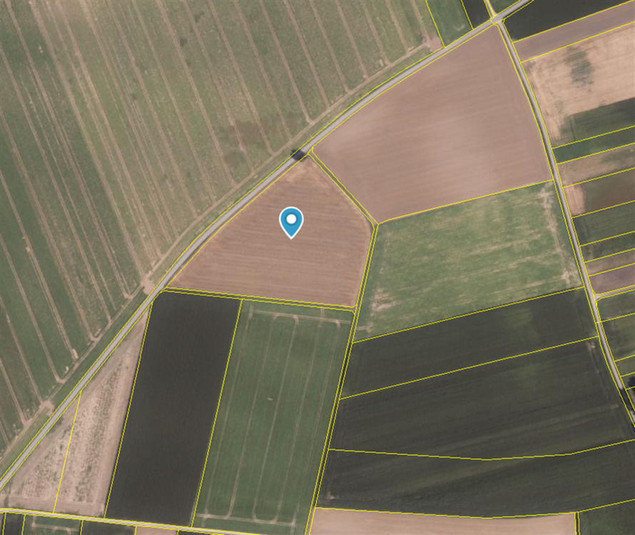 Thumbnail-Acker bei Moos Langenisarhofen