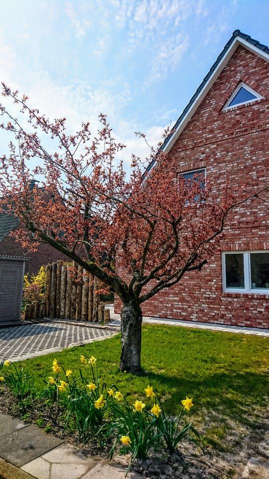 Thumbnail-Moderne Doppelhaushälfte, Bj. 2021 mit SW-Terrasse