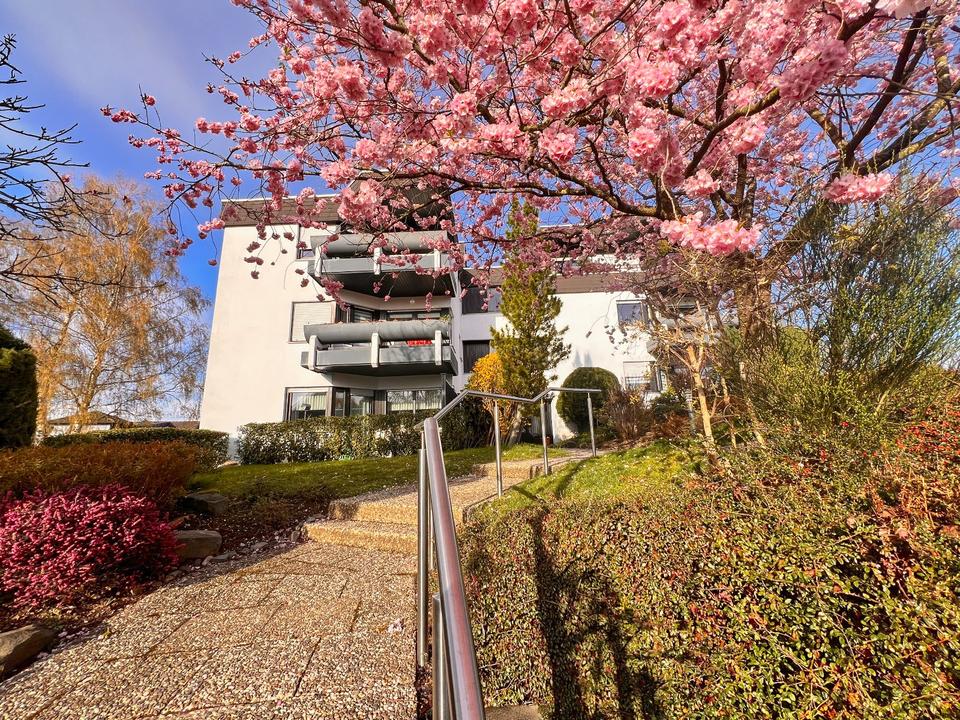 Thumbnail-Helle Wohnung 2 ZKB | Dachterrasse | ruhige Lage | Provisionsfrei