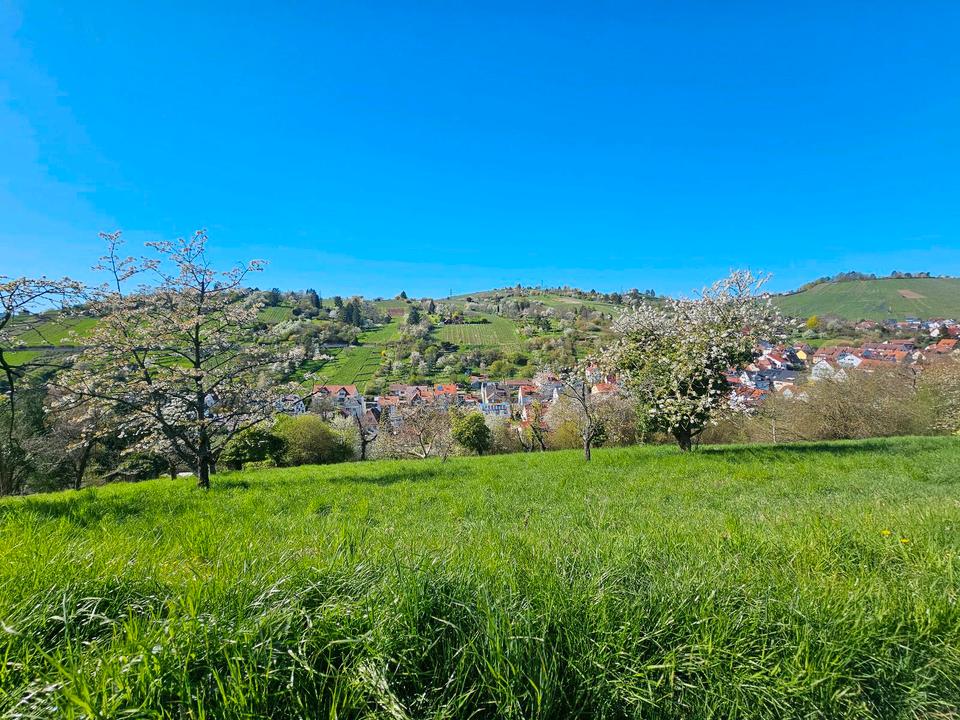 Thumbnail-Gartengrundstück in Stuttgart- Uhlbach