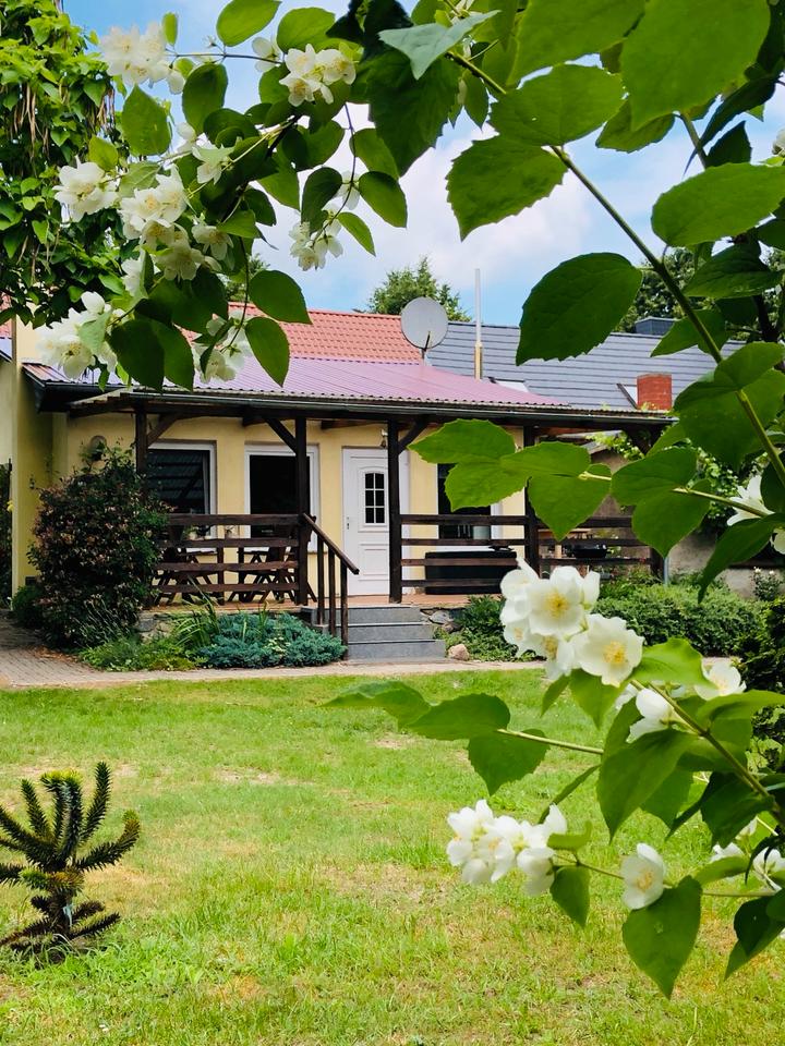 Thumbnail-Ferienhaus Ferienbungalow Vorpommern Festland vor Usedom