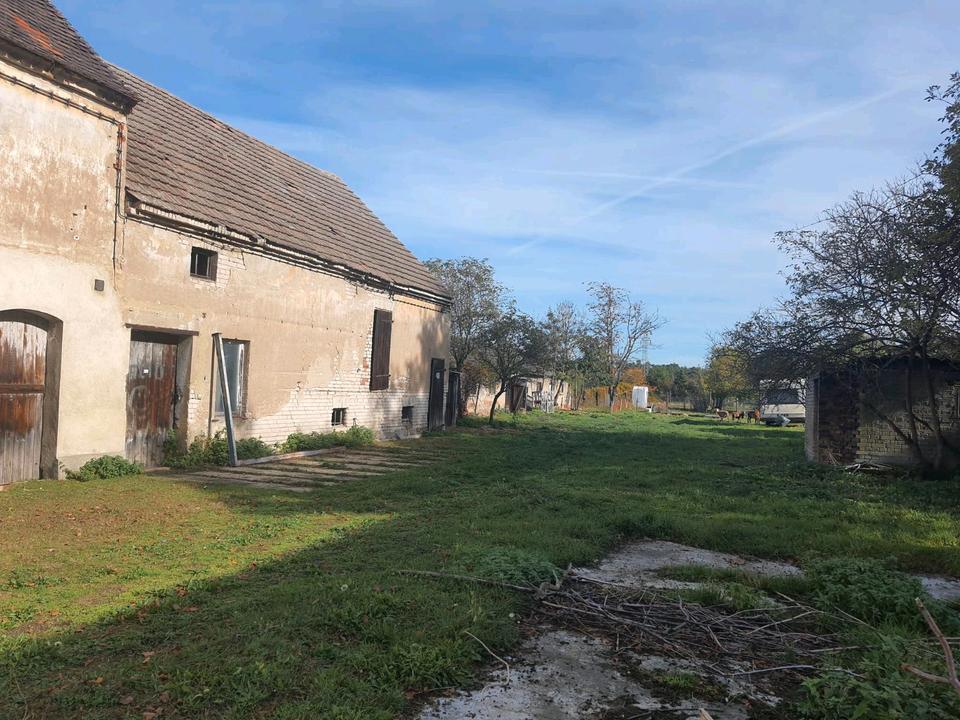 Thumbnail-2 Seitenhof (Renovierung bedürftig)