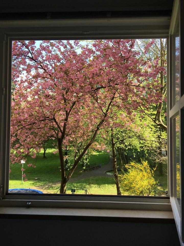 Thumbnail-Gepflegte 3-Zimmer Wohnung in ruhiger, zentraler Lage