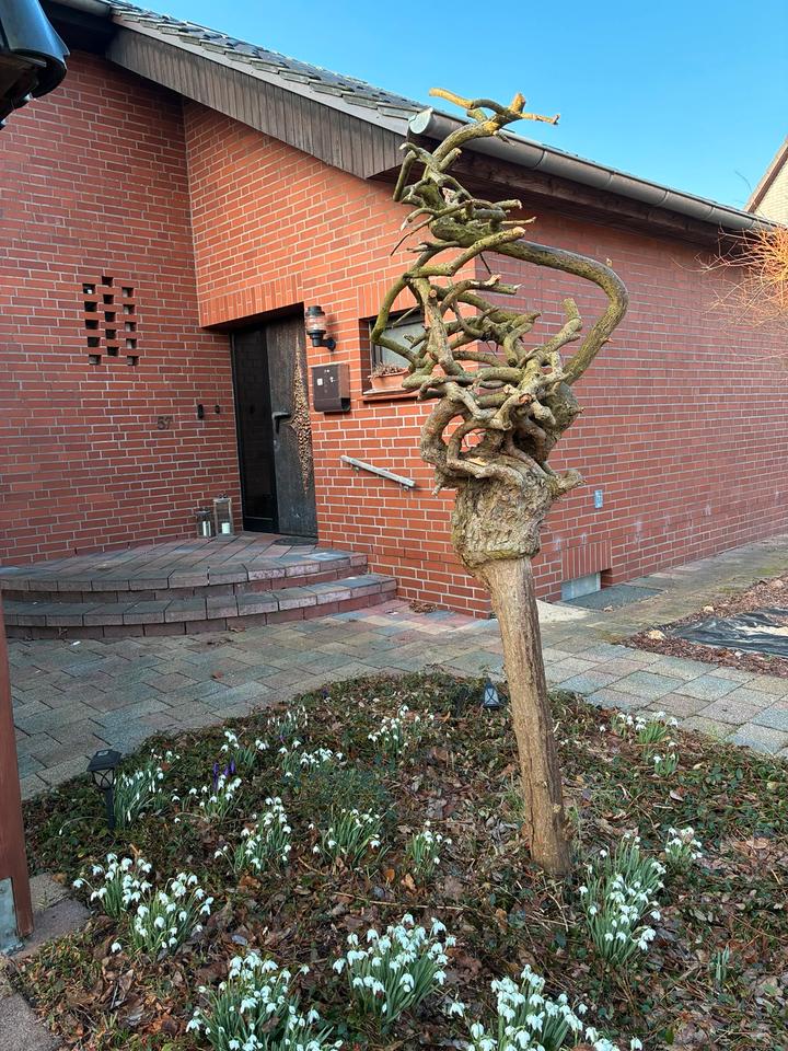 Thumbnail-Frisch renoviertes Einfamilienhaus in ruhiger Lage