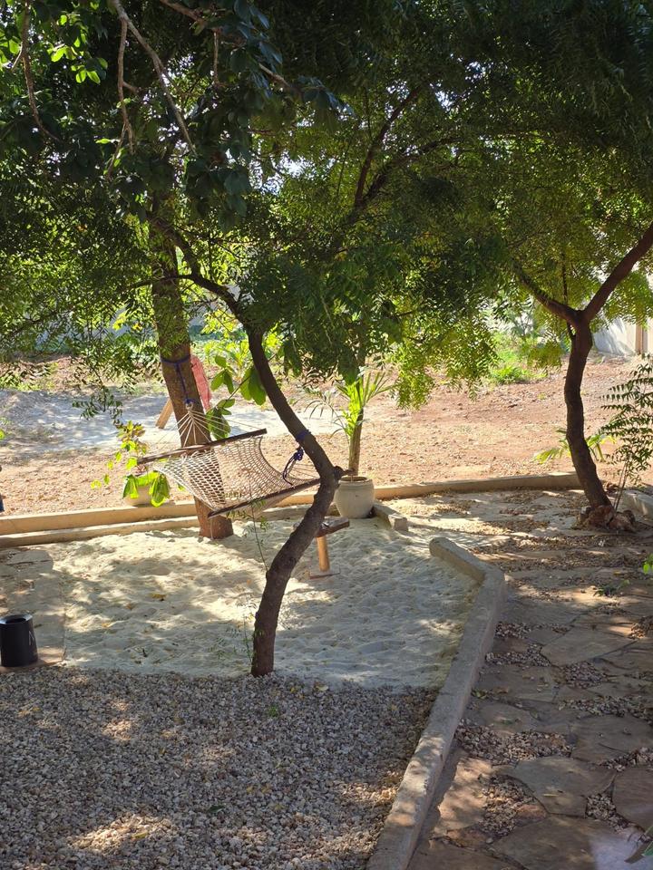 Thumbnail-Urlaub auf Sansibar (Zanzibar), der Trauminsel im indischen Ozean