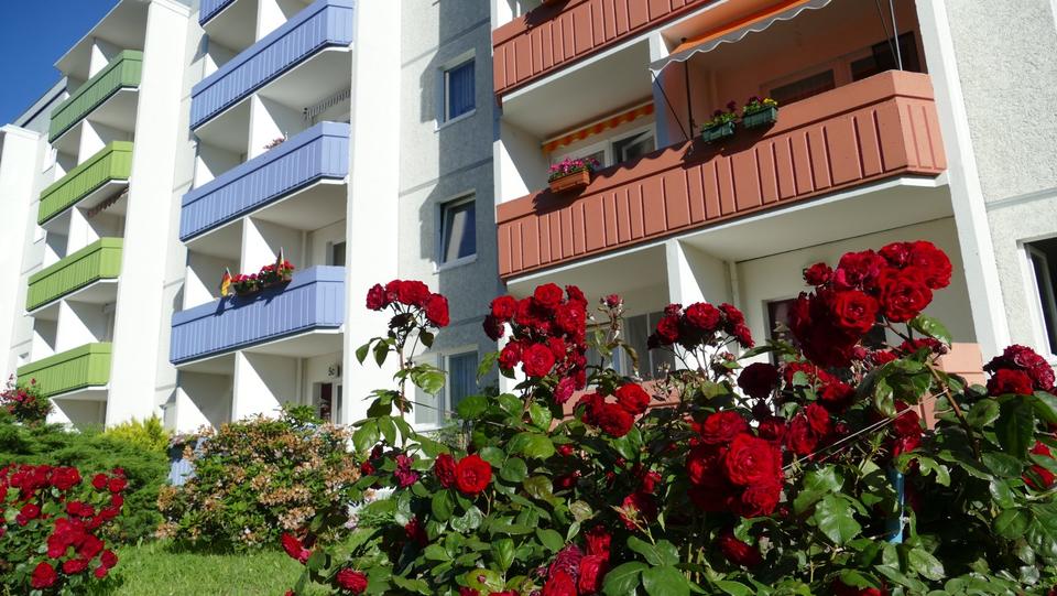 Thumbnail-3 Raum Wohnung mit Blick ins Grüne