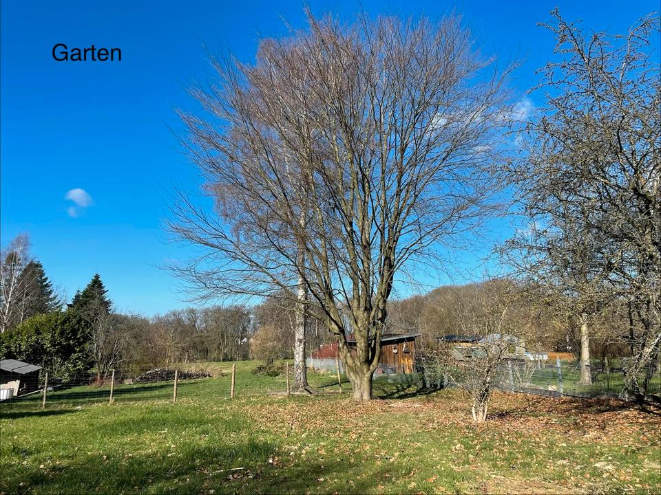 Thumbnail-Bungalow Zweifamilienhaus mit großen Garten zur Miete in MUCH