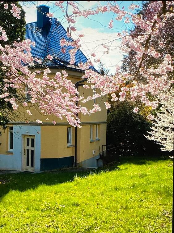 Thumbnail-Wohnhaus f. Monteure Sammelunterkunft in Ulm