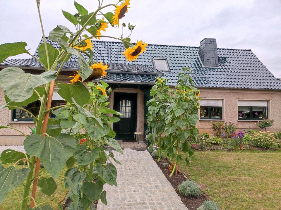 Thumbnail-Haus mit viel Nebengelass