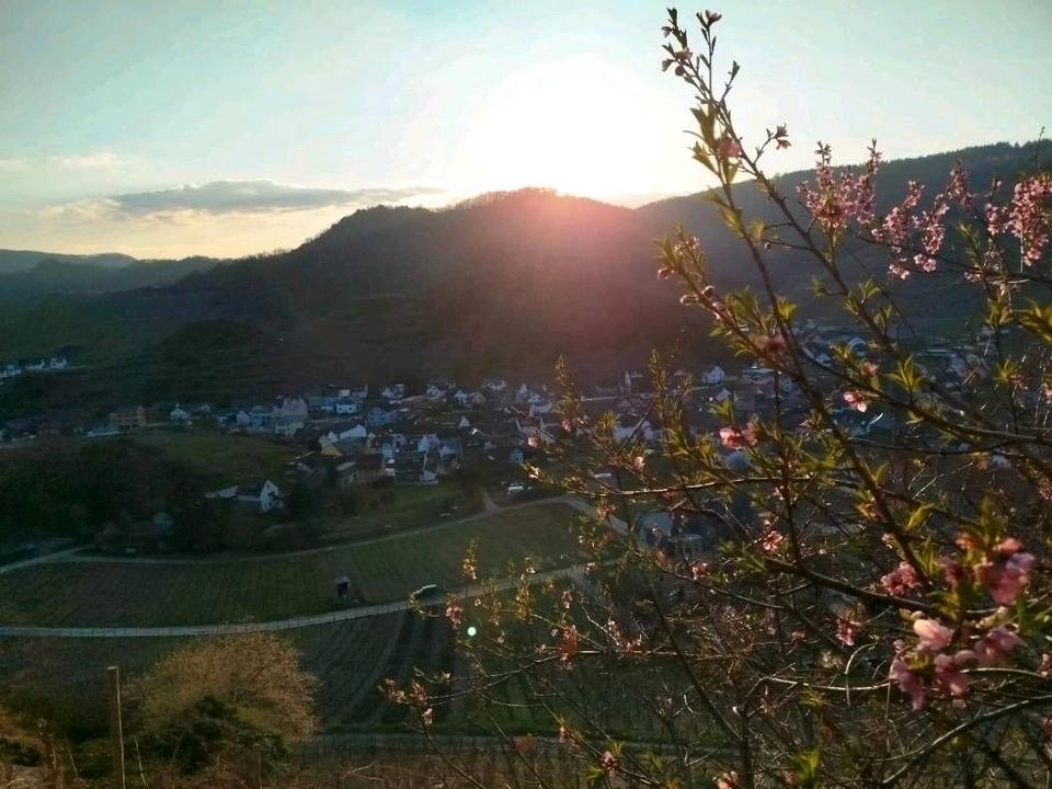 Thumbnail-Mietwohnung in Mayschoß
