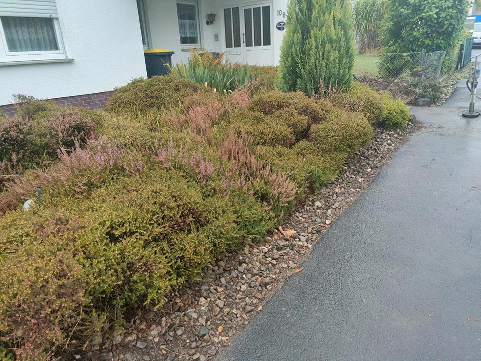 Thumbnail-Einfamilienhaus mit Einliegerwohnung am Brasselsberg in Kassel