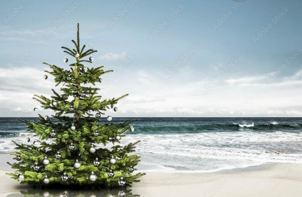 Thumbnail-Last Minute Weihnachten im Ferienhaus an der Ostsee