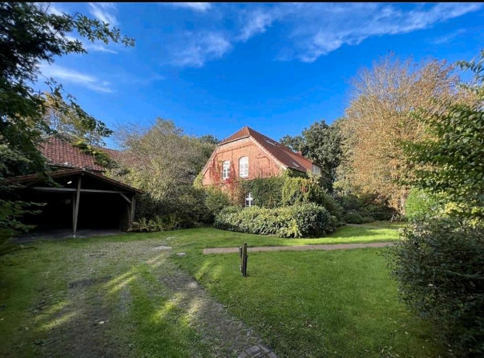 Thumbnail-Ferienwohnung mit Hund der Frühling kommt ☀️