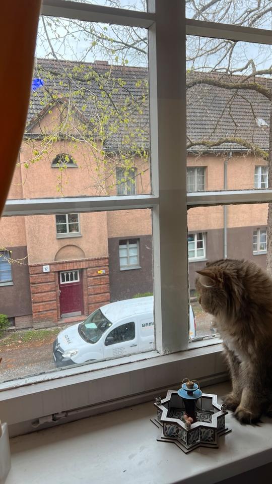 Thumbnail-Gemütliches möbliertes Zimmer in Neukölln