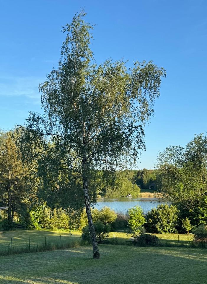 Thumbnail-Traumhaftes Grundstück am Hirbacher Weiher mit Holzchalet