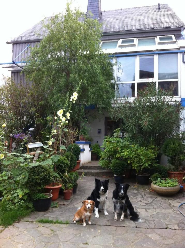 Thumbnail-Wunderschöne 3-Zimmer Whg. In Lautert