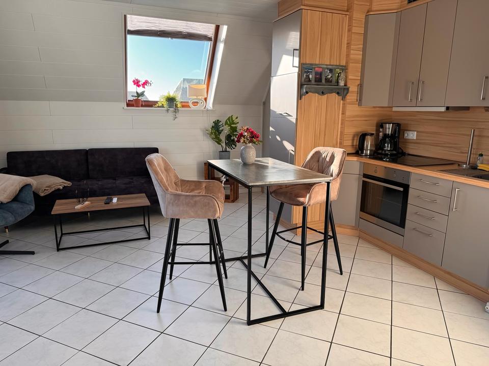 Thumbnail-Ferienwohnung an der Nordsee Friedrichskoog Urlaub mit Hund