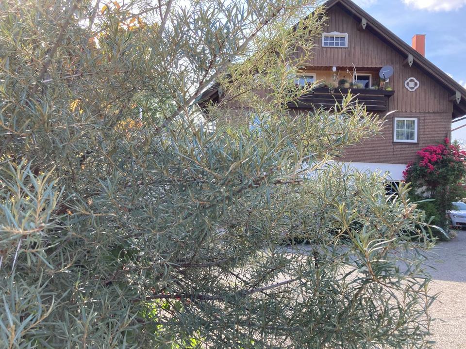 Thumbnail-Wohn-Geschäftshaus mit großem Potenzial