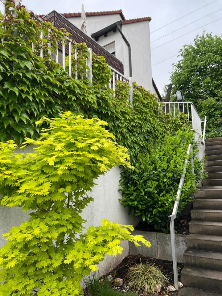 Thumbnail-Gepflegte DHH am Südhang in Nbg.-Brunn (1994)