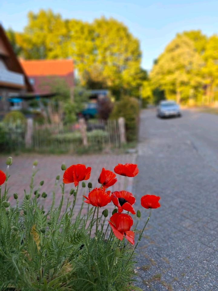 Thumbnail-Einfamilienhaus Aurich Popens nähe Ems Jade Kanal