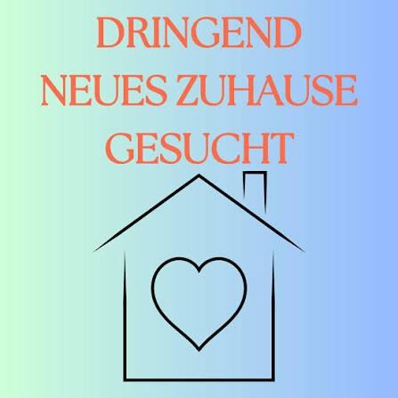 Thumbnail-Haus oder Wohnung zur Miete