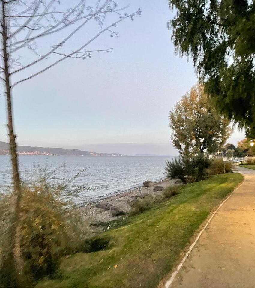 Thumbnail-Mietwohnung auf Zeit am Bodensee!