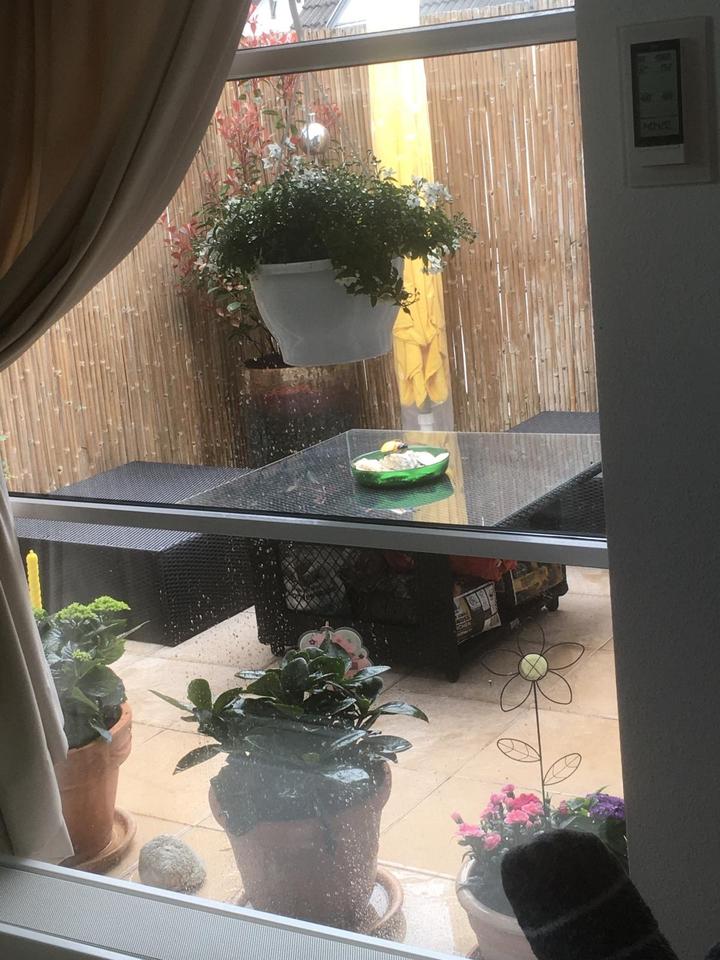 Thumbnail-WOW Effekt Maisonette Wohnung