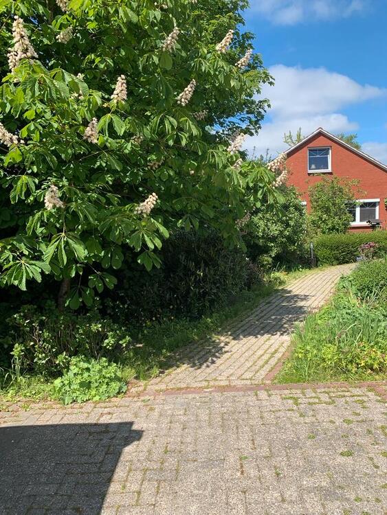 Thumbnail-Einfamilienhaus (Wohnen auf einer Ebene möglich)