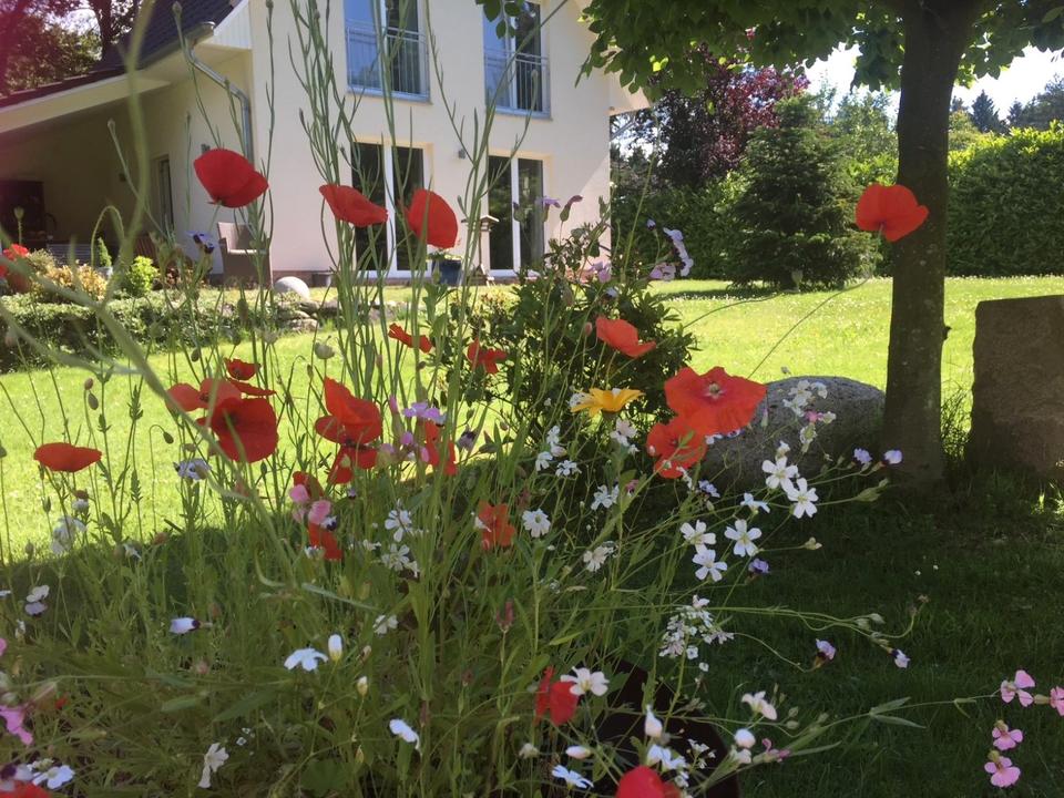 Thumbnail-Ruhe. Natur. Zuhause. – Modernes Haus inmitten einer Waldoase