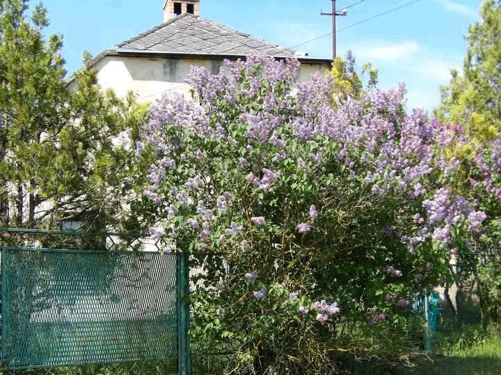 Thumbnail-Charmantes Bauernhaus in ruhiger Naturlage bei Csabrendek