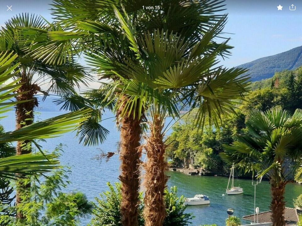 Thumbnail-Ferienwohnung in Cannobio-Lago Maggiore