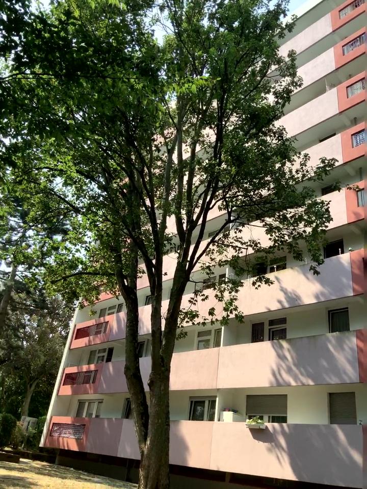 Thumbnail-Frisch modernisierte 3-Zimmer-Wohnung mit Balkon zu vermieten!