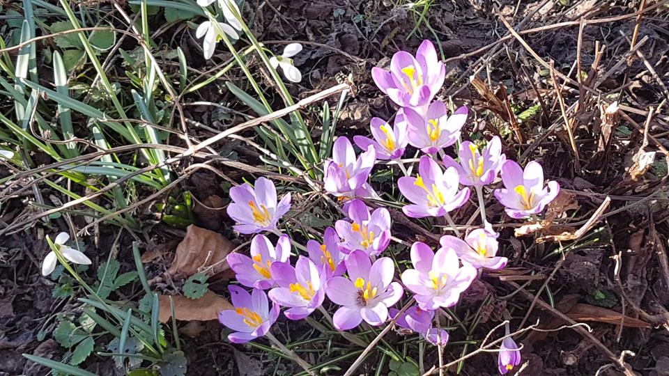 Thumbnail-4-Zimmer Dachgeschoss-Wohnung in Detmold **LESEN !!**