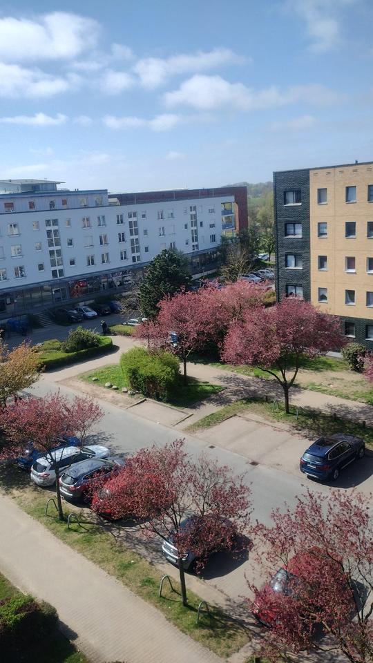 Thumbnail-3-Raum-Wohnung
